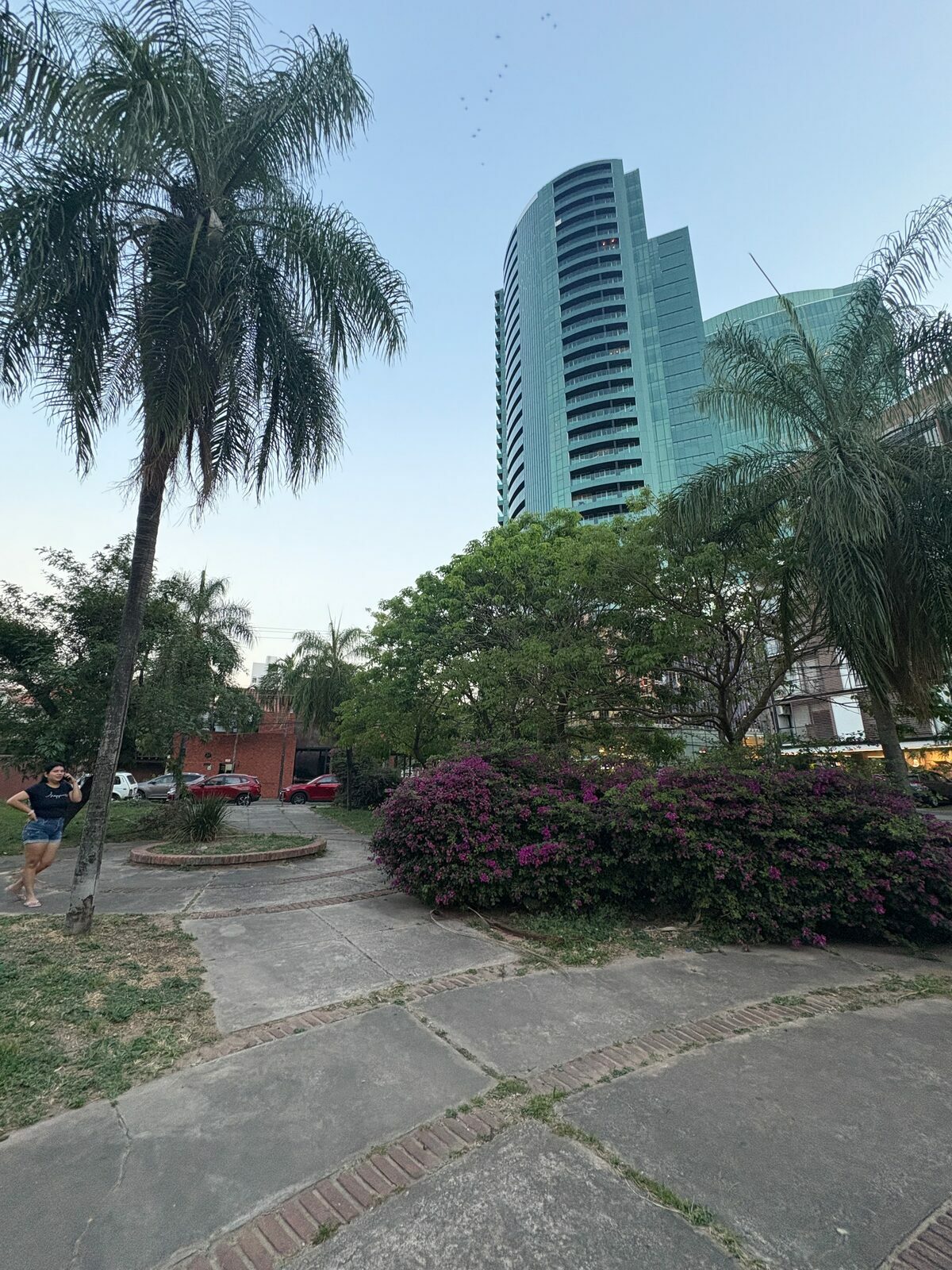 Equipetrol green tower