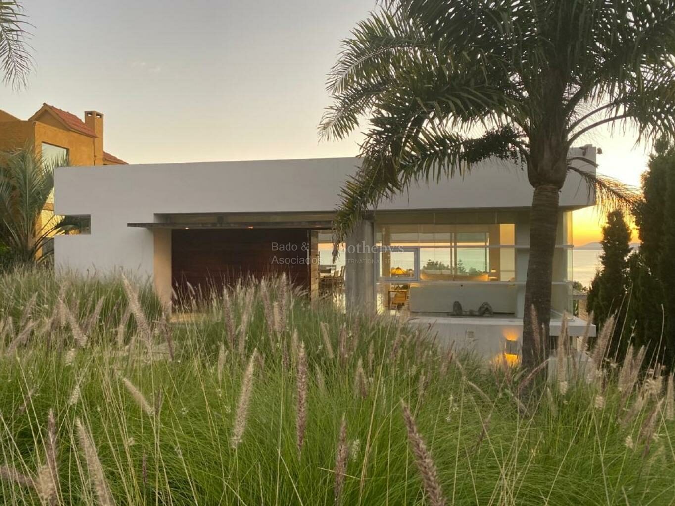The house and garden in its coastal setting among tall grasses and palms