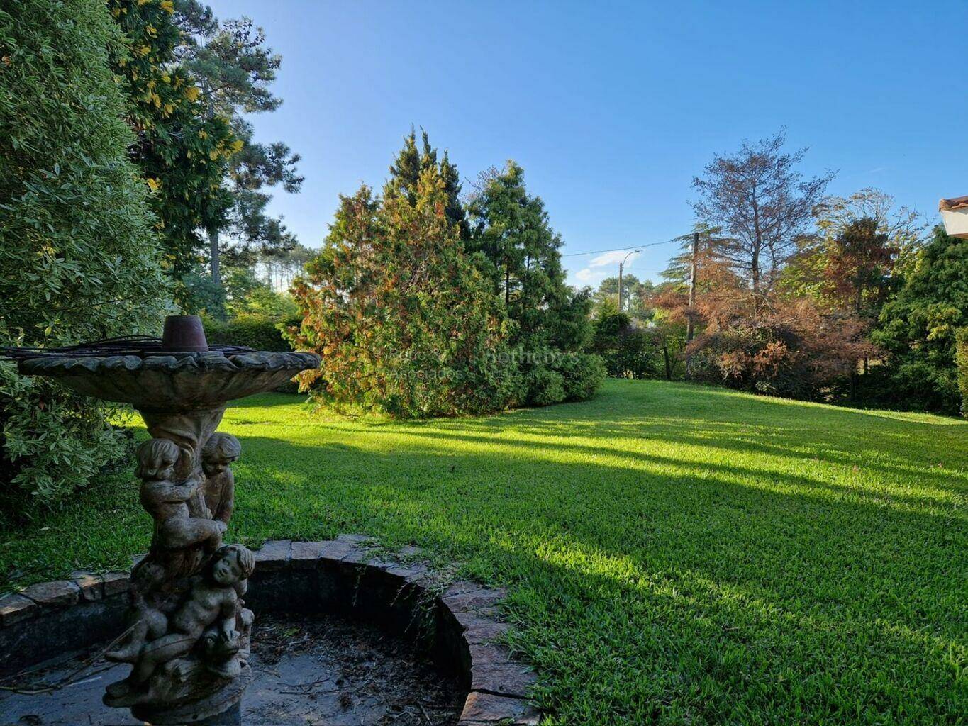Mature garden with a stone fountain and mature trees