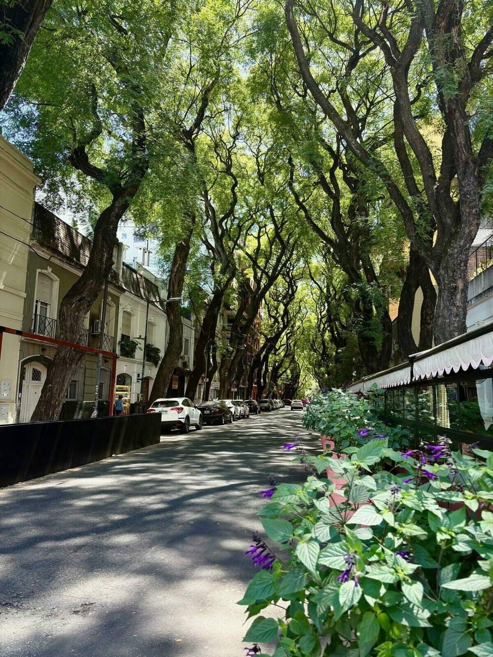 Cost of Living in Buenos Aires for Americans (2026)